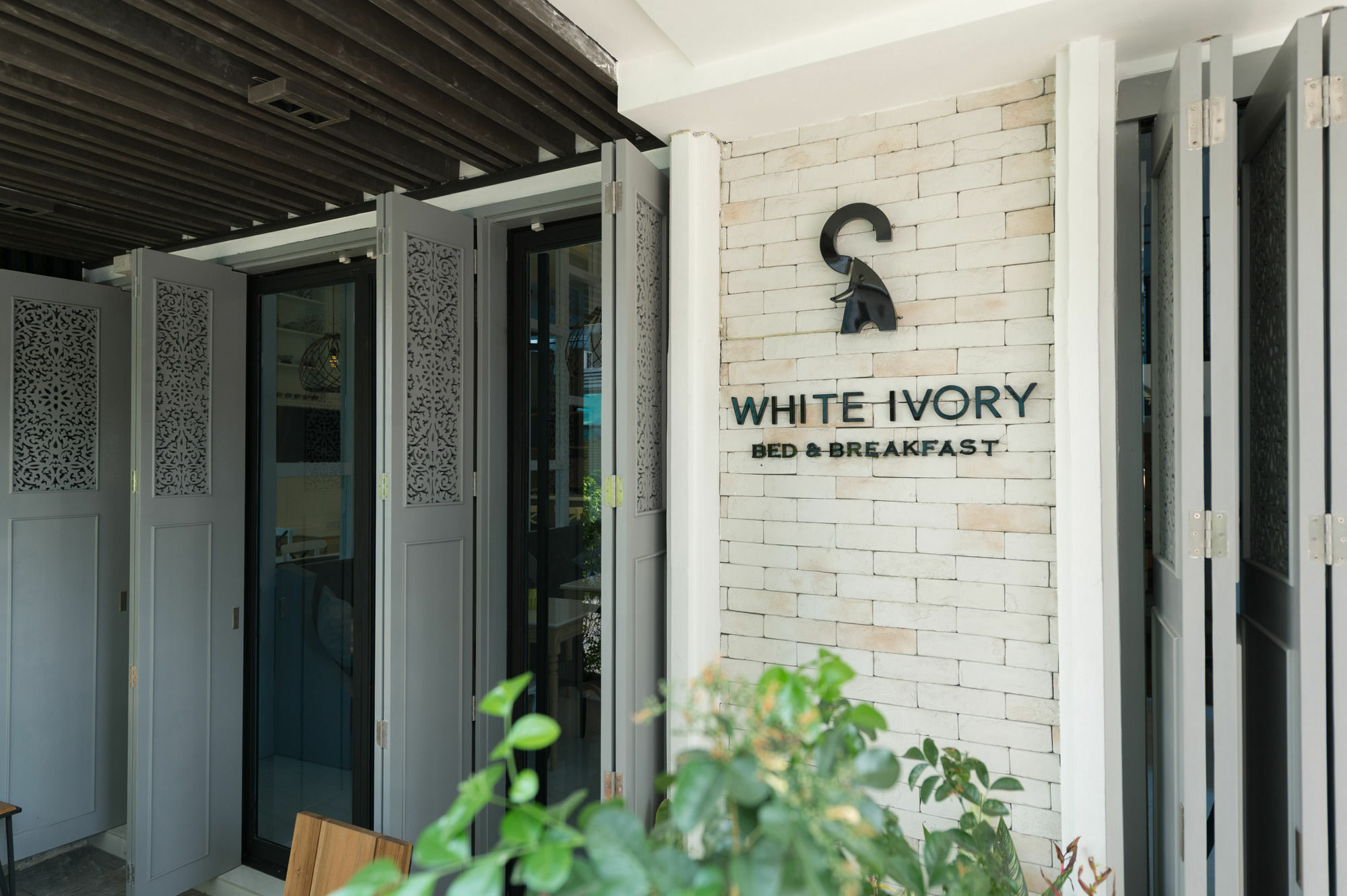 Отель White Ivory 3*